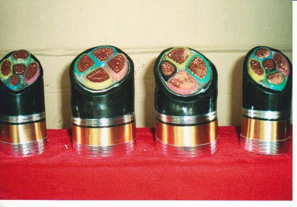 ͨ����Ƥ늾�